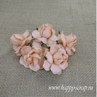 Роза 5 см, персиковая